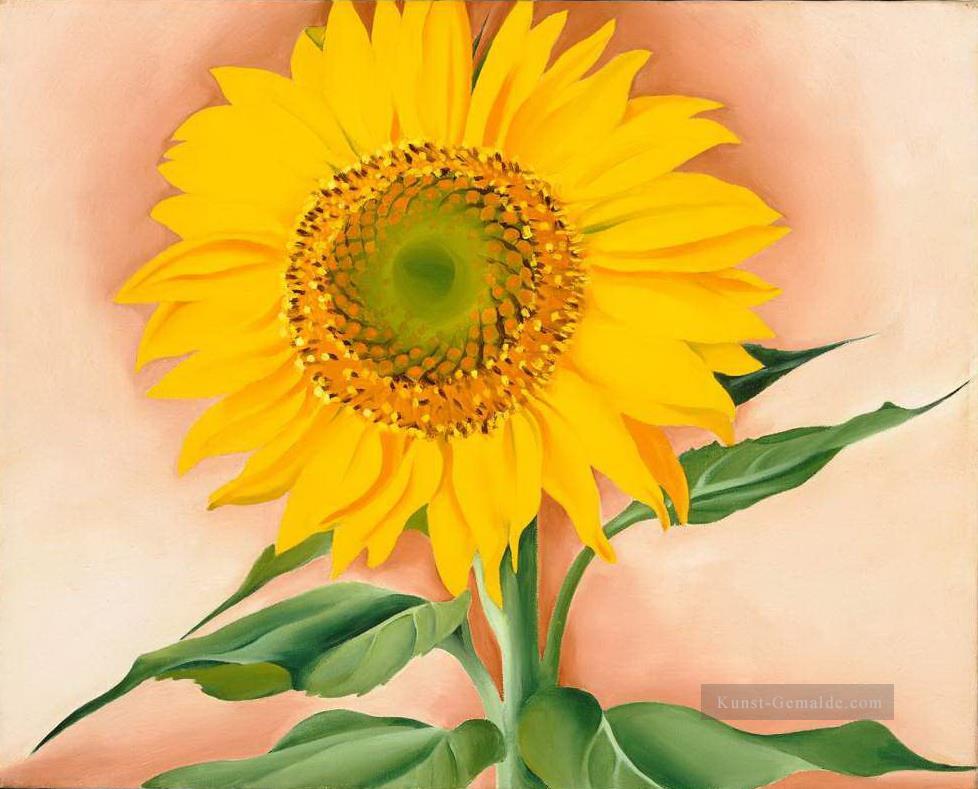 Eine Sonnenblume aus Maggie Georgia Okeeffe American modernism Precisionism Ölgemälde